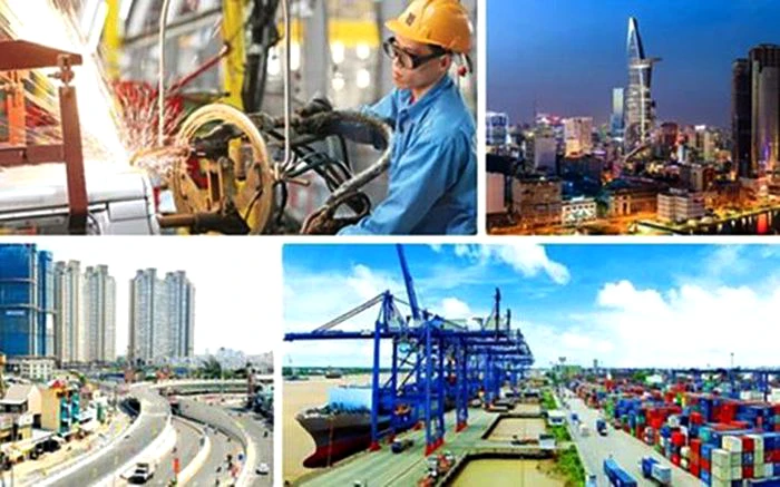 Thành lập các hội đồng phát triển các ngành kinh tế