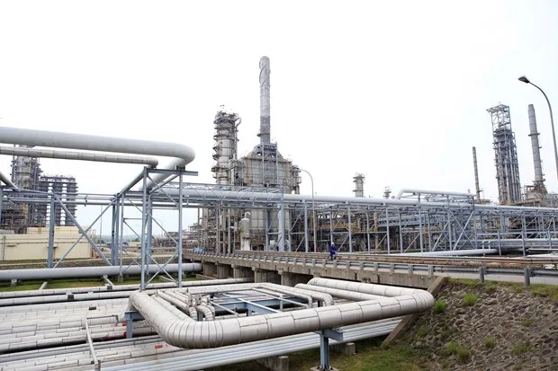 Hàng loạt cổ phiếu ngành dầu khí bùng nổ theo đà tăng của giá dầu hình ảnh 1 Hang loat co phieu nganh dau khi bung no theo da tang cua gia dau hinh anh 1