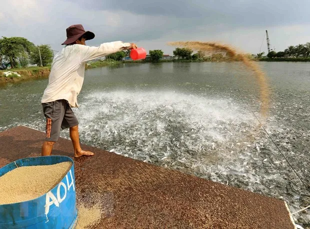 Bài toán cho hàng hóa ĐBSCL: Phá vỡ ''điểm nghẽn'' giao thông hình ảnh 2 Bai toan cho hang hoa DBSCL: Pha vo ''diem nghen'' giao thong hinh anh 2