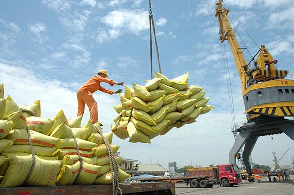 Xuất khẩu: Vừa ngoi lên đã bị dập xuống