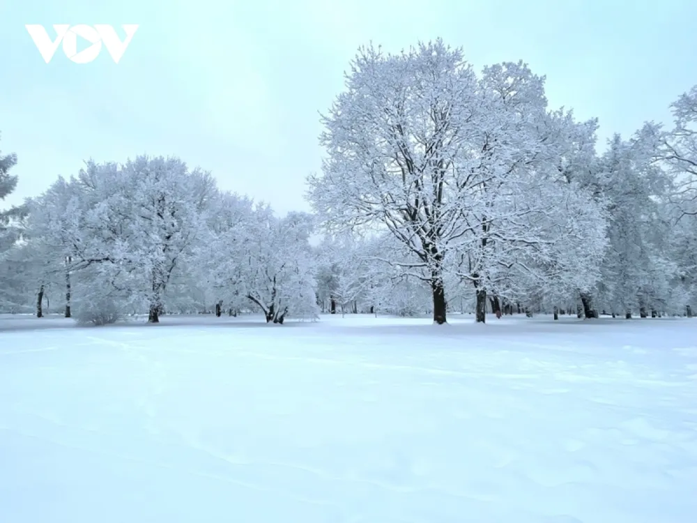 Mê mẩn với mùa đông Nga trong chiếc áo choàng tuyết ảnh 2