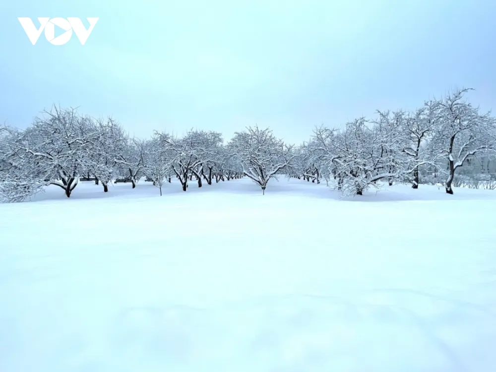 Mê mẩn với mùa đông Nga trong chiếc áo choàng tuyết ảnh 4