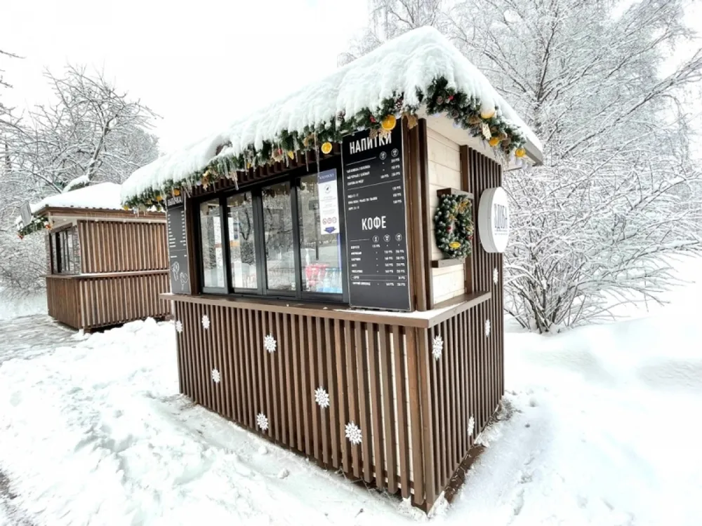 Mê mẩn với mùa đông Nga trong chiếc áo choàng tuyết ảnh 9