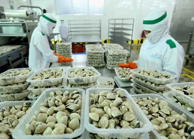 Chuyên gia: Kinh tế Việt Nam có thể đạt tăng trưởng cao trong 2022 hình ảnh 1 Chuyen gia: Kinh te Viet Nam co the dat tang truong cao trong 2022 hinh anh 1
