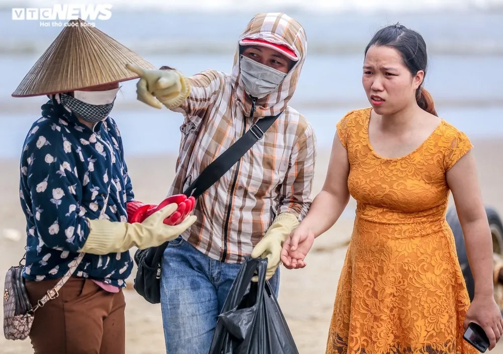 Hải sản biển Sầm Sơn hút khách mùa du lịch ảnh 9 Ngoài việc đến biển Sầm Sơn để vui chơi và tắm biển, nhiều du khách cho biết đến đây để thưởng thức hải sản trong những kỳ nghỉ.