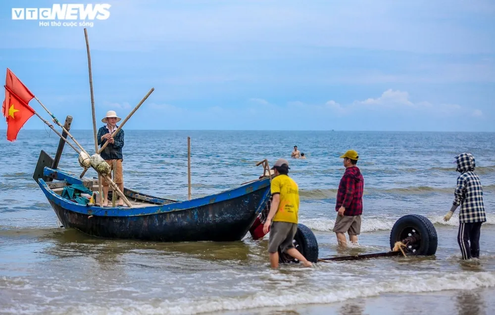 Hải sản biển Sầm Sơn hút khách mùa du lịch ảnh 11 Có hơn 50 năm làm nghề đánh cá, ông Vũ Như Phú (72 tuổi) cho biết: "Đợt này, thuyền chúng tôi đa phần là đánh được cá, tôm. Mỗi chuyến ra khơi nếu trúng thì mỗi thuyền cũng chỉ có thể thu được khoảng 4-6kg. Giá bán tôm trong mùa du lịch khá được giá, với khoảng từ 200 - 400 nghìn đồng/kg”.