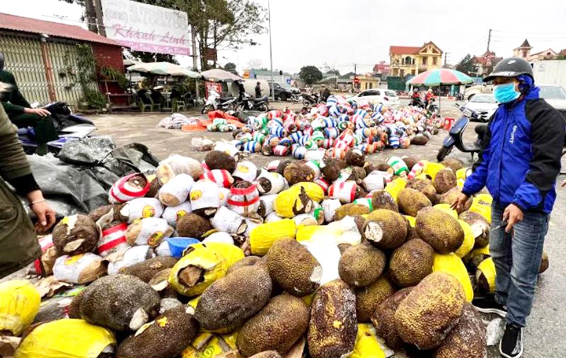 (ĐTTCO) - Trung Quốc là đối tác thương mại số 1 của Việt Nam, với tổng kim ngạch xuất nhập khẩu (XNK) 6 tháng đầu năm 87,2 tỷ USD, vượt xa đối tác thứ 2 là Mỹ, chỉ 63,4 tỷ USD. Đáng nói, khi Mỹ là thị trường xuất siêu số 1 của Việt Nam, Trung Quốc cũng số