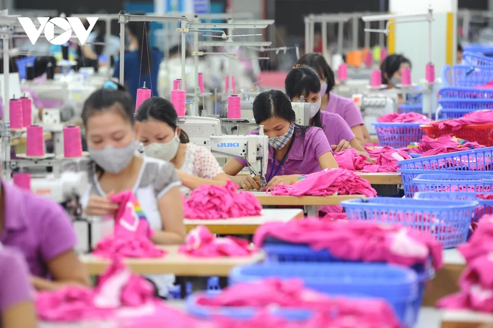 thị trường lao động cuối năm có nhiều khởi sắc hình ảnh 1 thi truong lao dong cuoi nam co nhieu khoi sac hinh anh 1