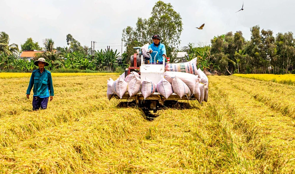 Người nông dân làm nông nghiệp vẫn luôn vất vả khó khăn.