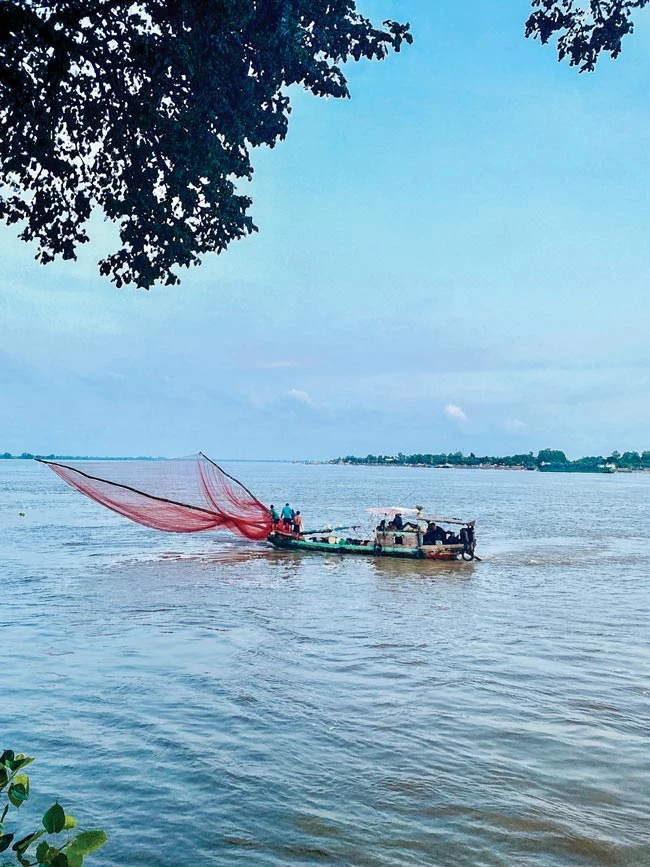 Cần khôi phục không gian để dòng sông Hậu luôn đảm bảo nguồn cung nước ngọt cho vùng hạ lưu Cửu Long.