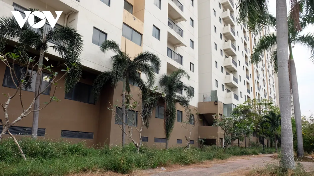 canh diu hiu, nhech nhac tai khu can ho thu thiem chuan bi dau gia lan 4 hinh anh 4