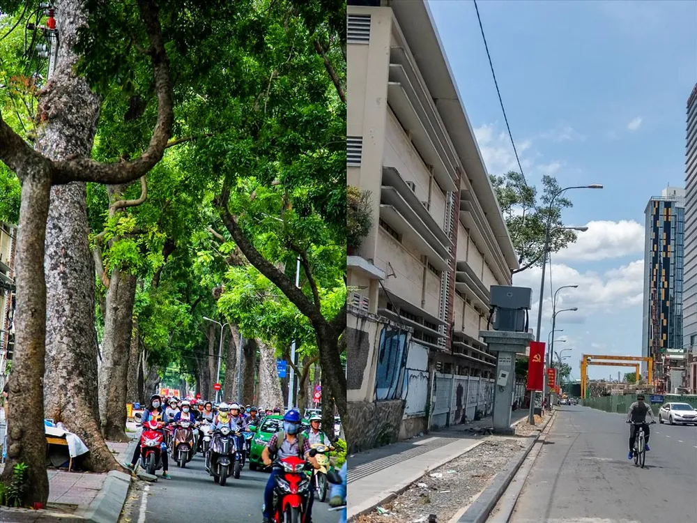 Những hình ảnh con đường rợp bóng cây xanh như thế này ở TPHCM ngày càng hiếm, hay nói đúng hơn chỉ còn là dĩ vãng. Những hình ảnh con đường rợp bóng cây xanh như thế này ở TPHCM ngày càng hiếm, hay nói đúng hơn chỉ còn là dĩ vãng.
