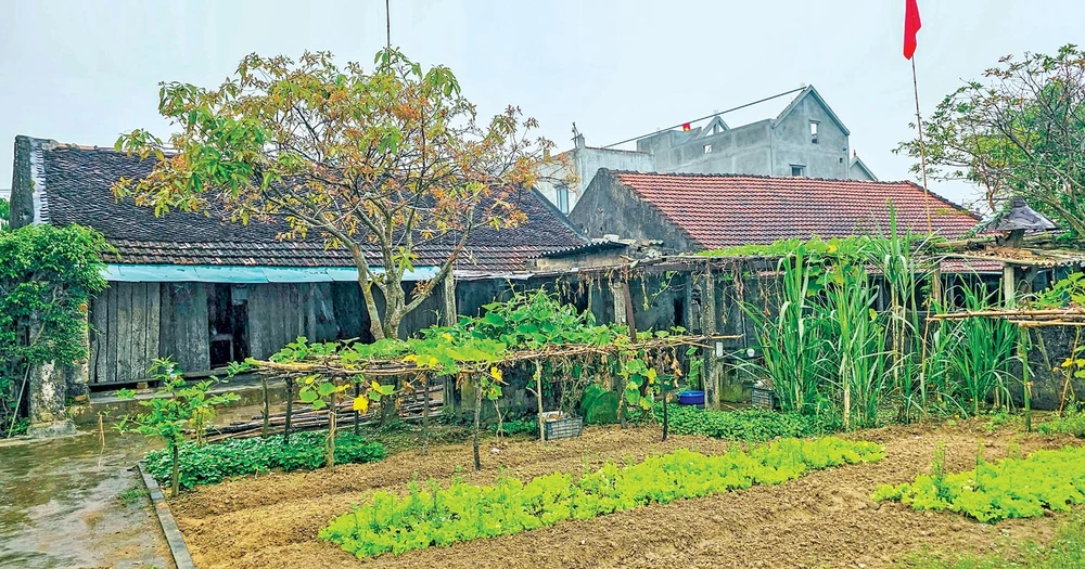 Nhà cổ sông Gianh đang bị lãng quên