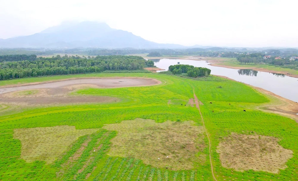 Hồ Suối Hai ở huyện Ba Vì đã cạn trơ dần đáy vào tháng 5-2023