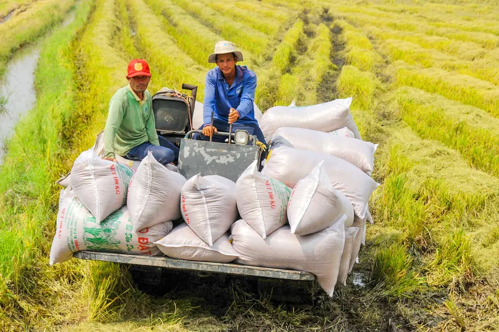 Thủy sản và lúa gạo là lĩnh vực cho vay chiếm tỷ trọng cao nhất của Agribank tại khu vực ĐBSCL. Thủy sản và lúa gạo là lĩnh vực cho vay chiếm tỷ trọng cao nhất của Agribank tại khu vực ĐBSCL.