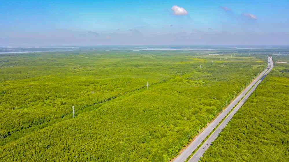 Rừng ngập mặn Cần Giờ - "lá phổi xanh" của TPHCM, được tổ chức UNESCO công nhận là Khu Dự trữ sinh quyển thế giới.