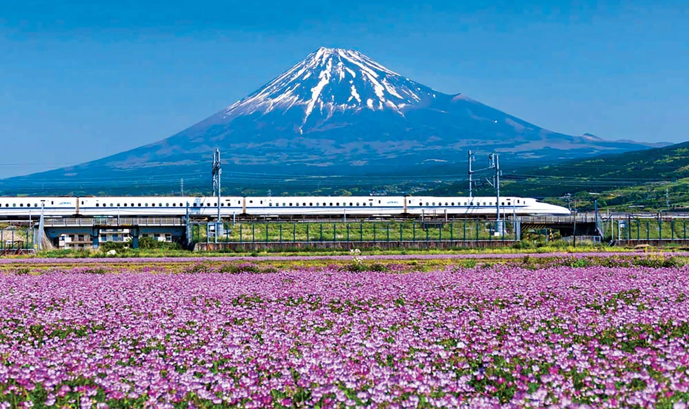 Tàu cao tốc Shinkansen của Nhật Bản.