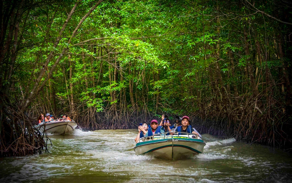 Du lịch sông nước là sản phẩm đặc trưng của miền Tây.