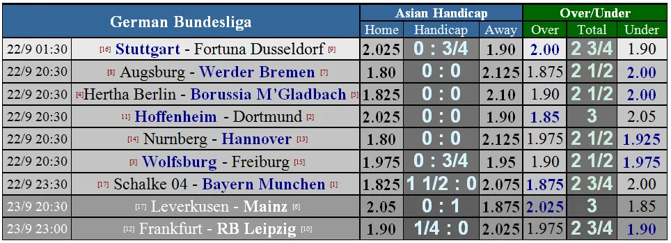 Lịch thi đấu giải Ngoại hạng Anh ngày 23-9 (Mới cập nhật) ảnh 13