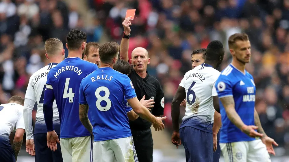 Tottenham - Cardiff City 1-0. Những vị khách kiên cường ảnh 3
