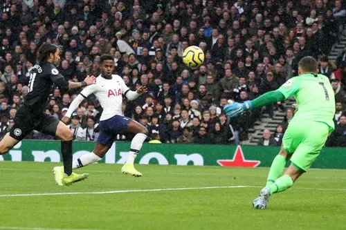 Tottenham - Brighton 2-1: Harry Kane và Dele Alli giúp Gà trống thắng ngược ảnh 3