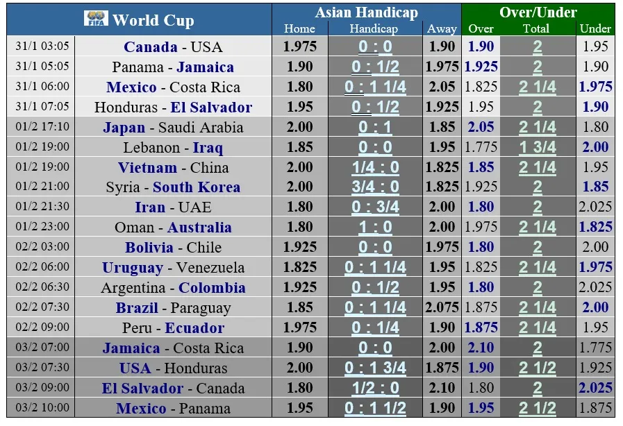 Lịch thi đấu vòng loại World Cup ngày 31-1 và 1-2 ảnh 1