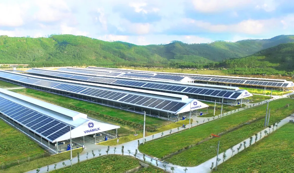 Vinamilk tăng 6 hạng trong tốp 50 công ty sữa hàng đầu thế giới ảnh 1 Vinamilk tăng 6 hạng trong tốp 50 công ty sữa hàng đầu thế giới ảnh 1