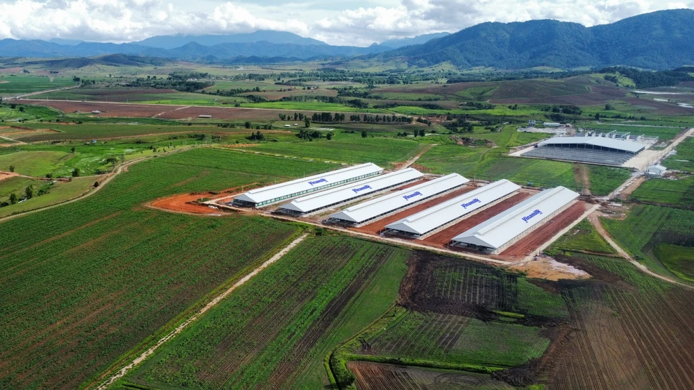 Trang trại Vinamilk Lào – Jagro tại cao nguyên Xiêng Khoảng (Lào) có tổng mức đầu tư giai đoạn một là 150 triệu USD