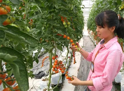 Hướng đến nền kinh tế thị trường đầy đủ