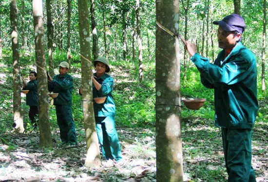 Bán CP quỹ sai nguyên tắc, VHG bị phạt nặng