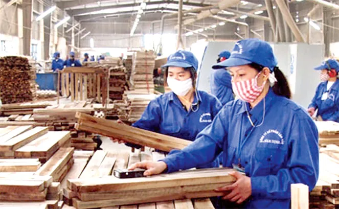 Phát triển kinh tế song hành với bảo vệ môi trường