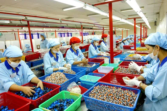 Lấy doanh nghiệp làm động lực phát triển kinh tế lâm nghiệp