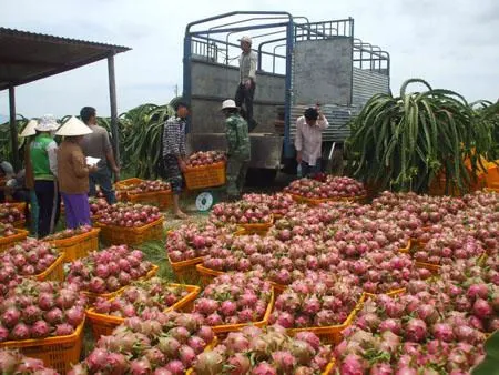 7 tháng xuất siêu nông sản hơn 4 tỉ USD