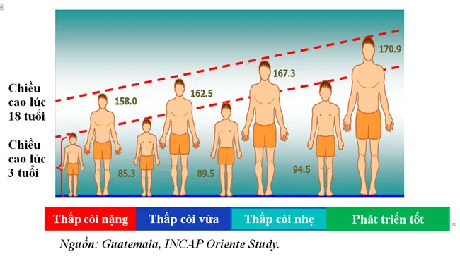 Tình thương cần sự thông thái ảnh 1 Tình thương cần sự thông thái ảnh 1