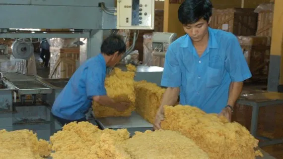Chế biến cao su xuất khẩu tại Nhà máy chế biến cao su Long Thành (Đồng Nai). Ảnh: Cao Thăng
