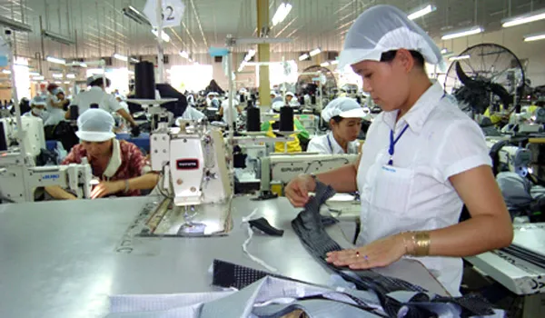 Chính phủ áp chuẩn OECD để bãi bỏ giấy phép con