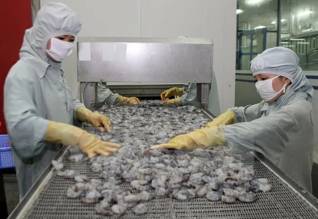 Châu Á sẽ là thị trường tiêu thụ mới nổi ngành tôm