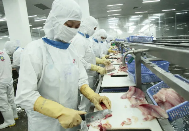 FSMA không ảnh hưởng đến doanh nghiệp thủy sản