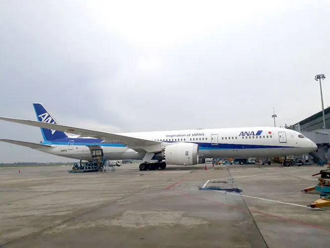 Tỷ lệ cổ phần bán cho nhà đầu tư chiến lược như ANA tại Vietnam Airlines vẫn còn khiêm tốn ở mức khoảng 8%