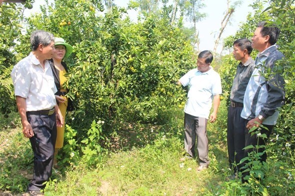 Nông dân gặp khó vay vốn và bao tiêu sản phẩm