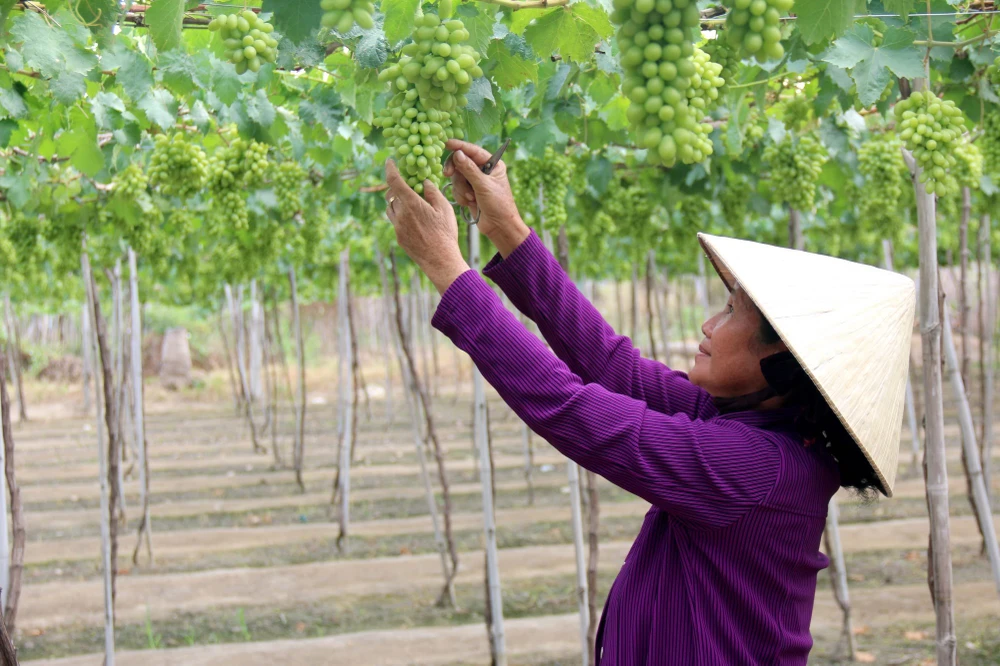 100.000 tỷ đồng vốn công nghệ cao bị “đóng băng“