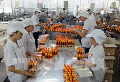 DN nên tập trung khai thác tốt thị trường nội địa