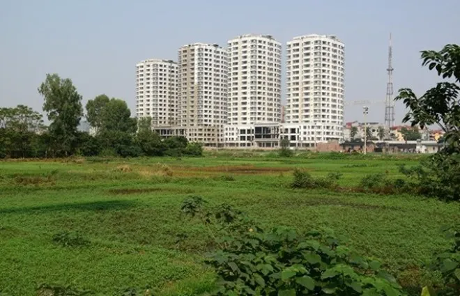 TPHCM: Kiến nghị chuyển mục đích sử dụng hơn 3.600ha đất
