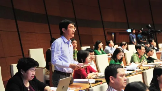 ĐB Hoàng Quang Hàm (Phú Thọ). Ảnh: LÃ ANH
