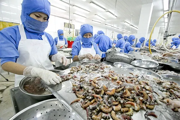 Doanh nghiệp thủy sản: Chờ quý IV khả quan hơn