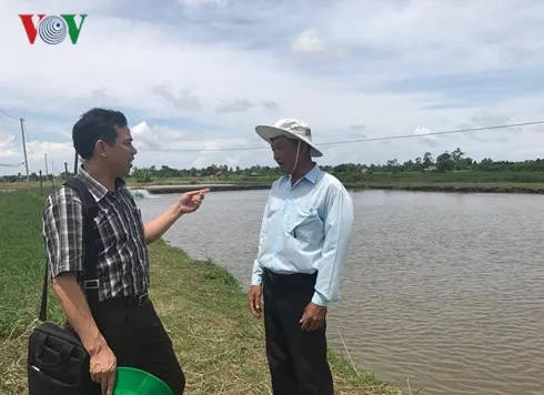 Nhiều doanh nghiệp muốn đầu tư sản xuất lớn nhưng không thể tích tụ được ruộng đất.