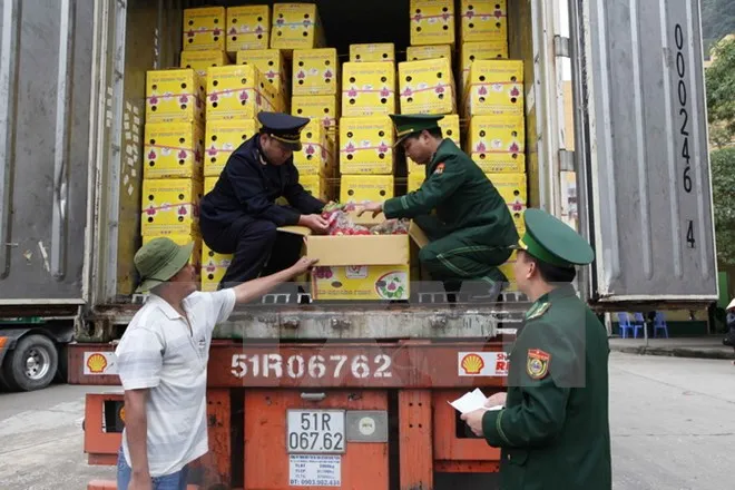 Lực lượng biên phòng phối hợp với hải quan kiểm tra hàng hóa lưu thông qua cửa khẩu Tân Thanh, Lạng Sơn. (Ảnh: Trần Việt/TTXVN)