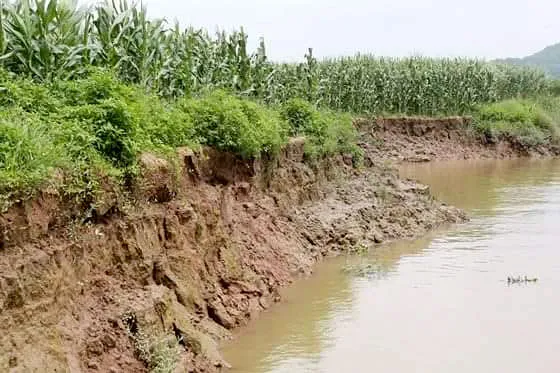Nông dân Hải Dương mất ruộng vì “cát tặc“ ảnh 1 Nông dân Hải Dương mất ruộng vì “cát tặc“ ảnh 1