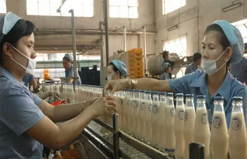 Tribeco rơi vào vòng xoáy khủng hoảng sau những nước đi sai lầm trong hoạch định chiến lược và những quyết định "quá sức".