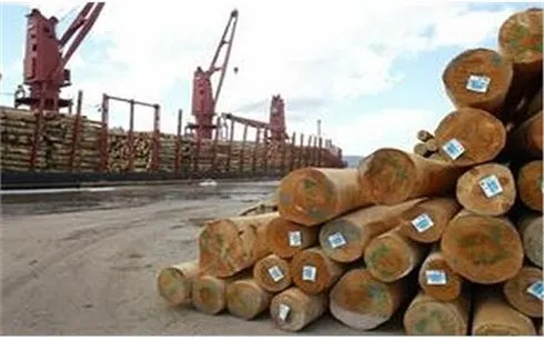 Xuất khẩu lâm sản năm 2018 có thể đạt 9 tỷ USD